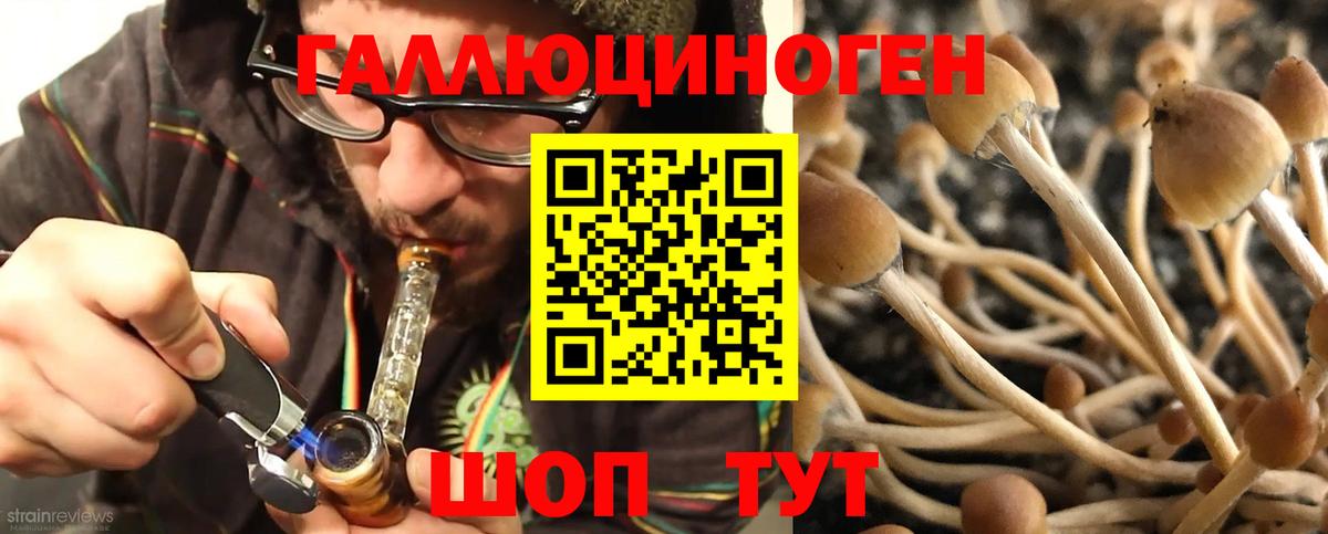 Архангельск  купить закладку  Вход с VPN  Псилоцибиновые грибы прущие грибы 